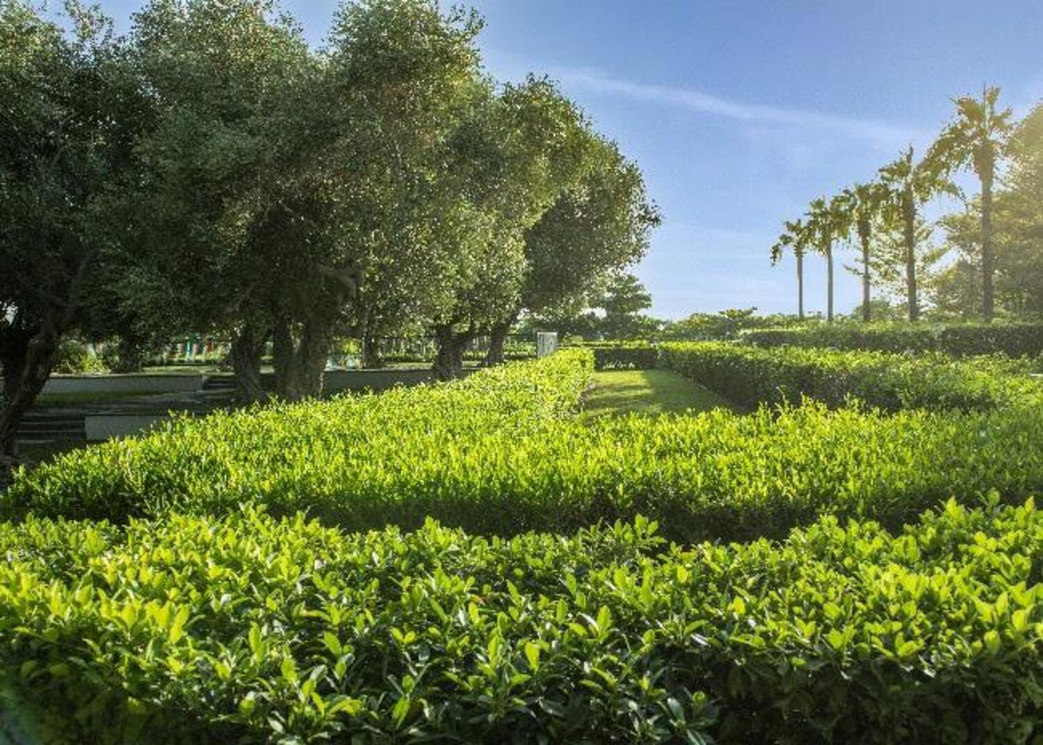 Internal Gardens & Lush Landscaped Areas amenity image