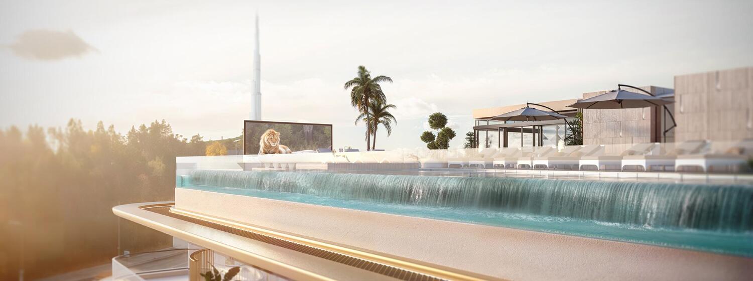 Rooftop Infinity Pool amenity image