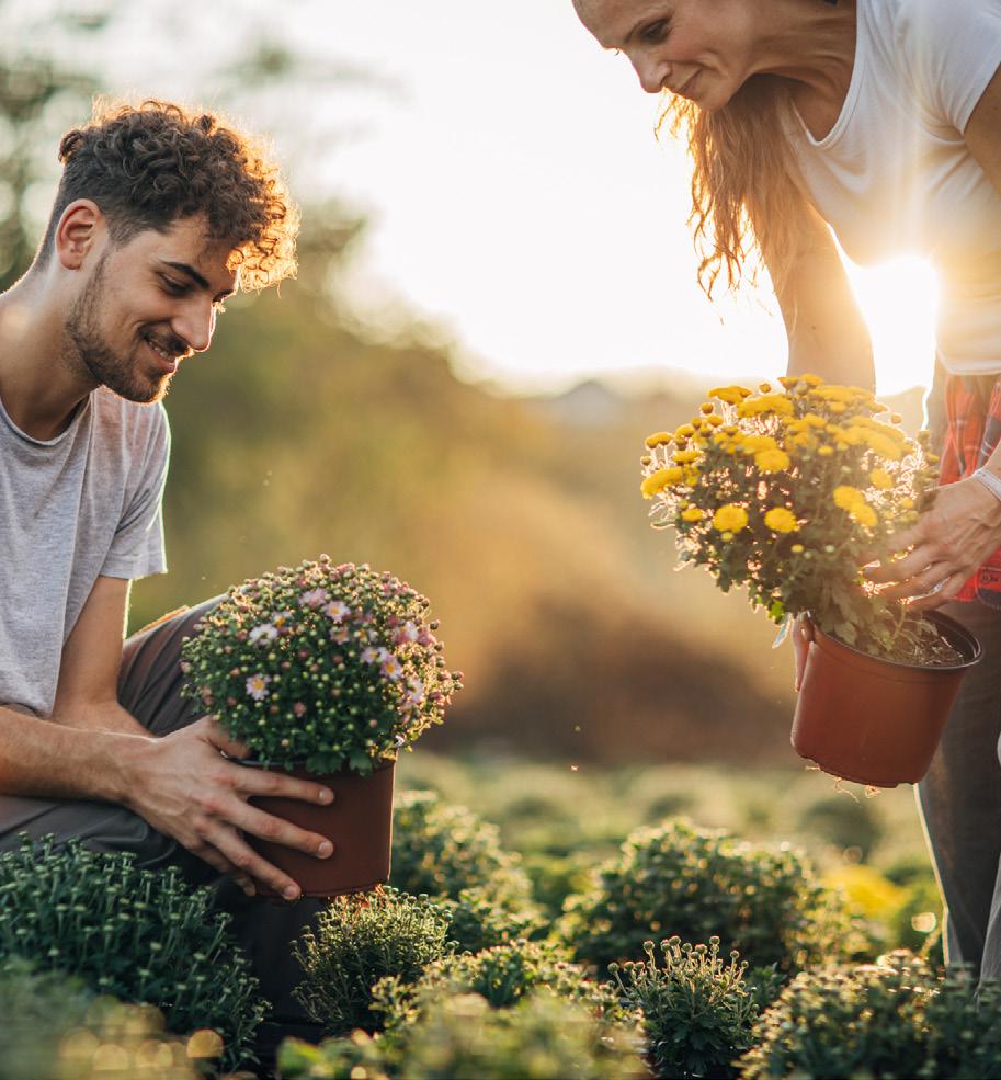 Farm Gardens amenity image