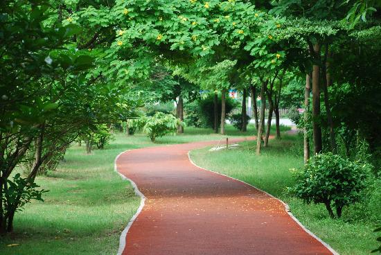 Jogging tracks amenity image