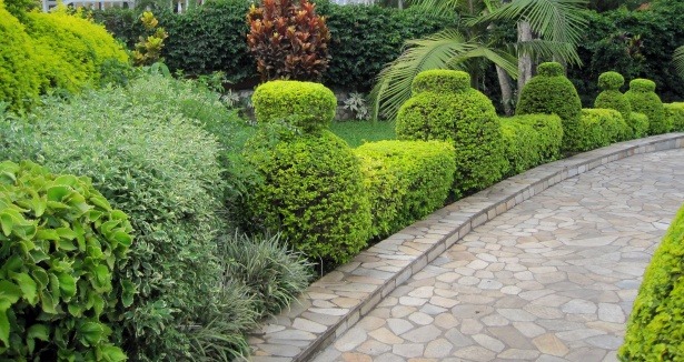 Lush Landscaping amenity image