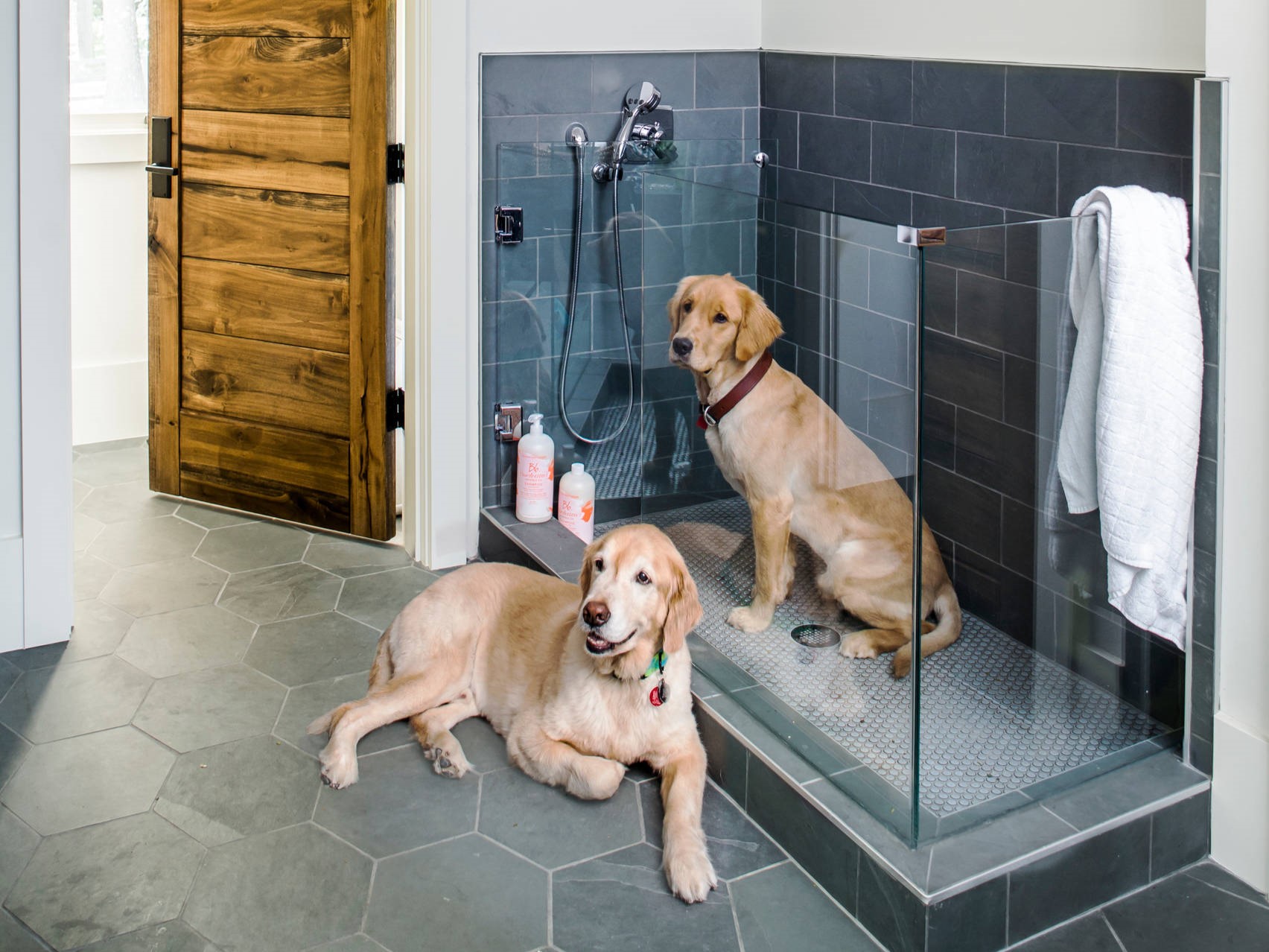 Pet Washroom amenity image