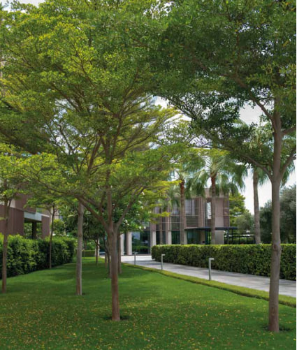 Common Garden amenity image