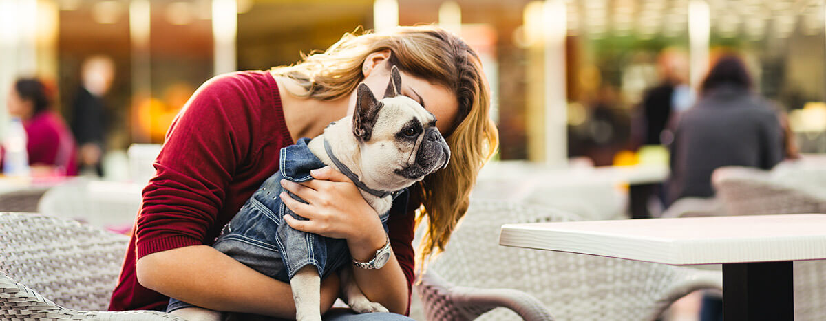 Pet-friendly amenity image