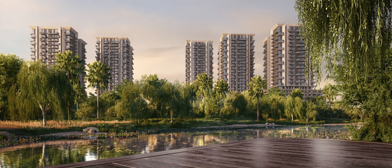 Rise by Athlon cover image