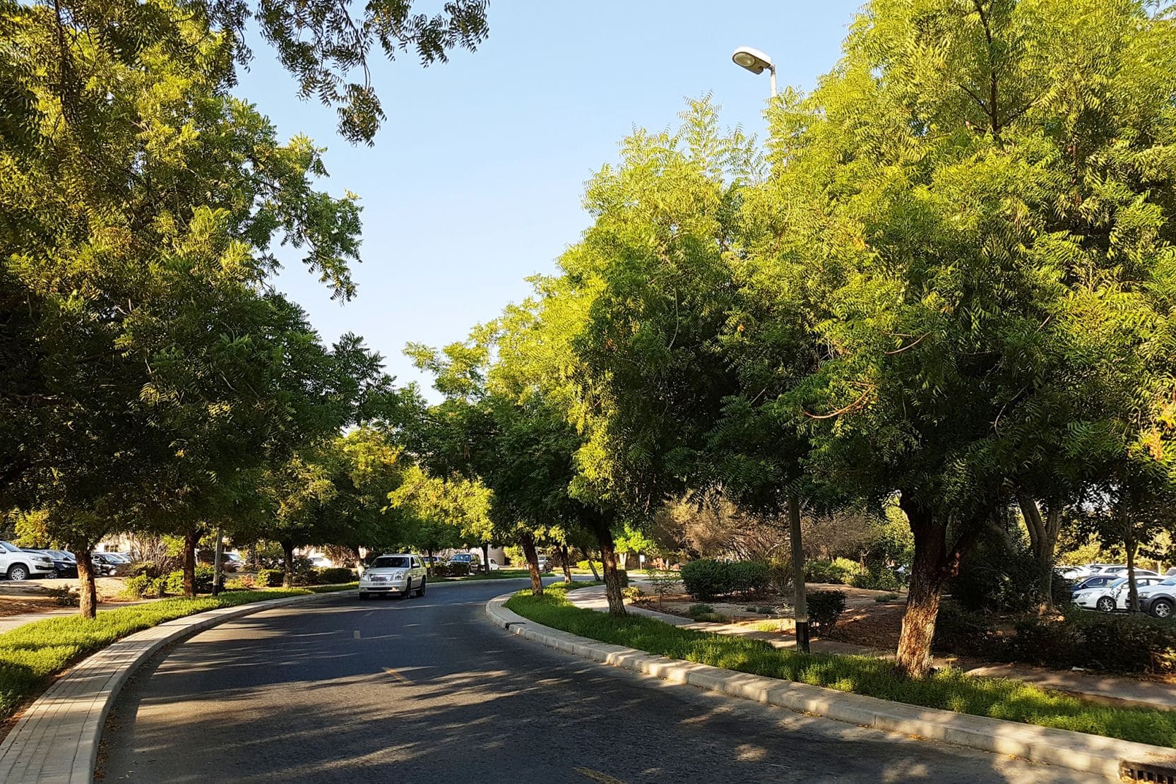 Gardens amenity image