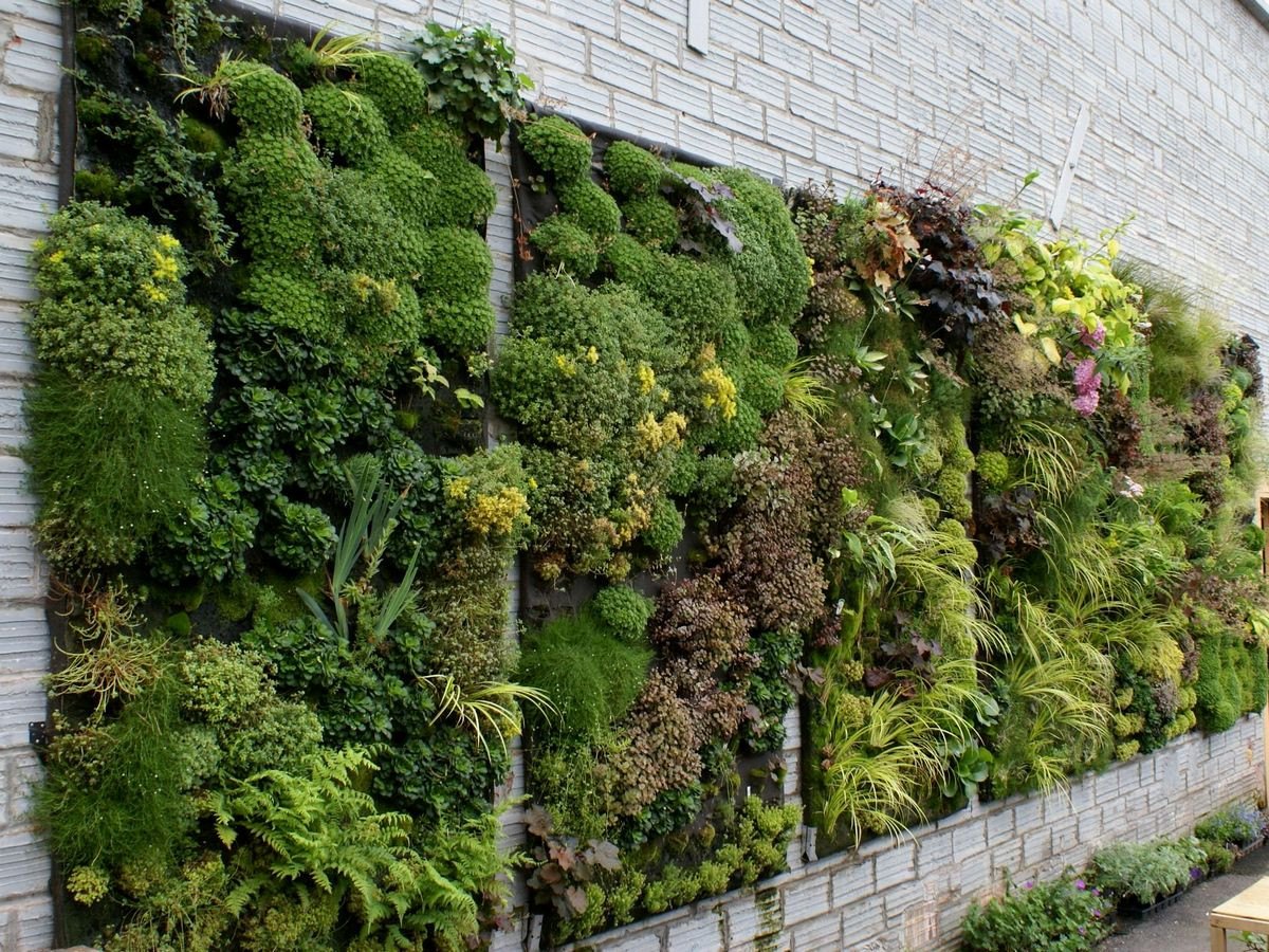 Vertical Garden amenity image