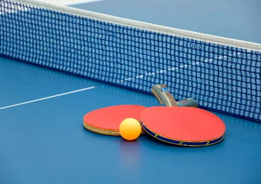 Table Tennis amenity image